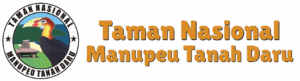 tnmanupeutanahdaru.org