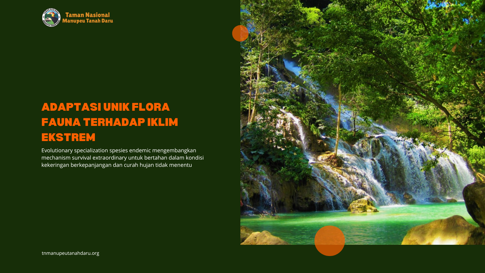 tnmanupeutanahdaru.org