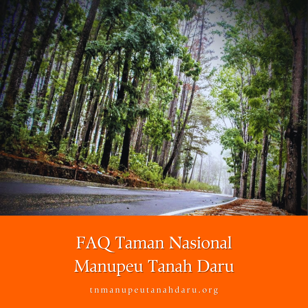 tnmanupeutanahdaru.org