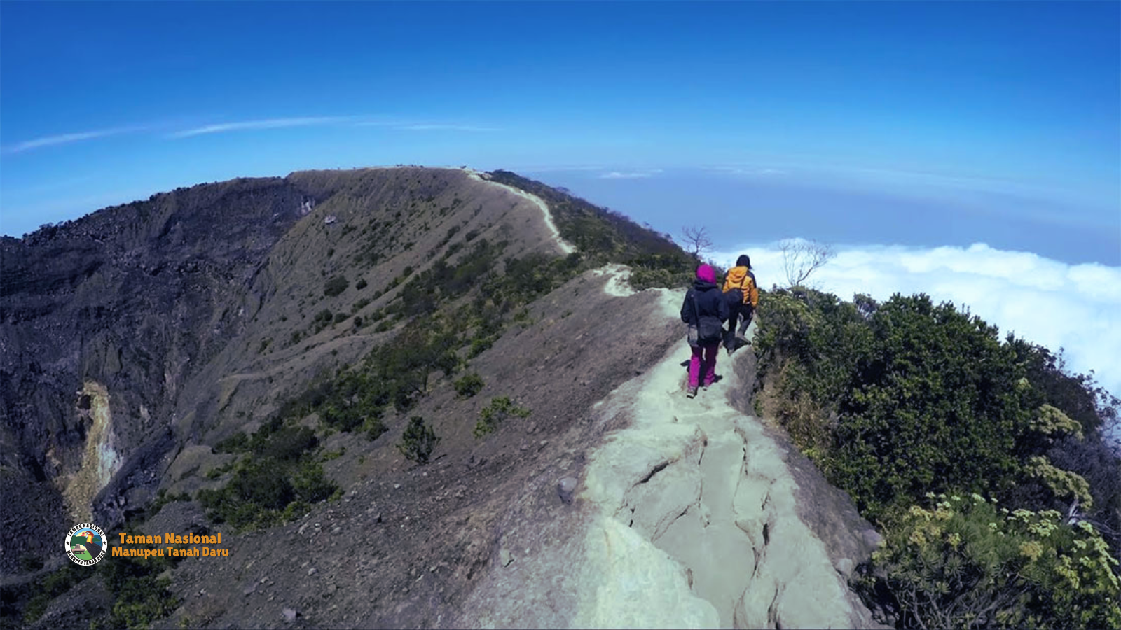 tnmanupeutanahdaru.org