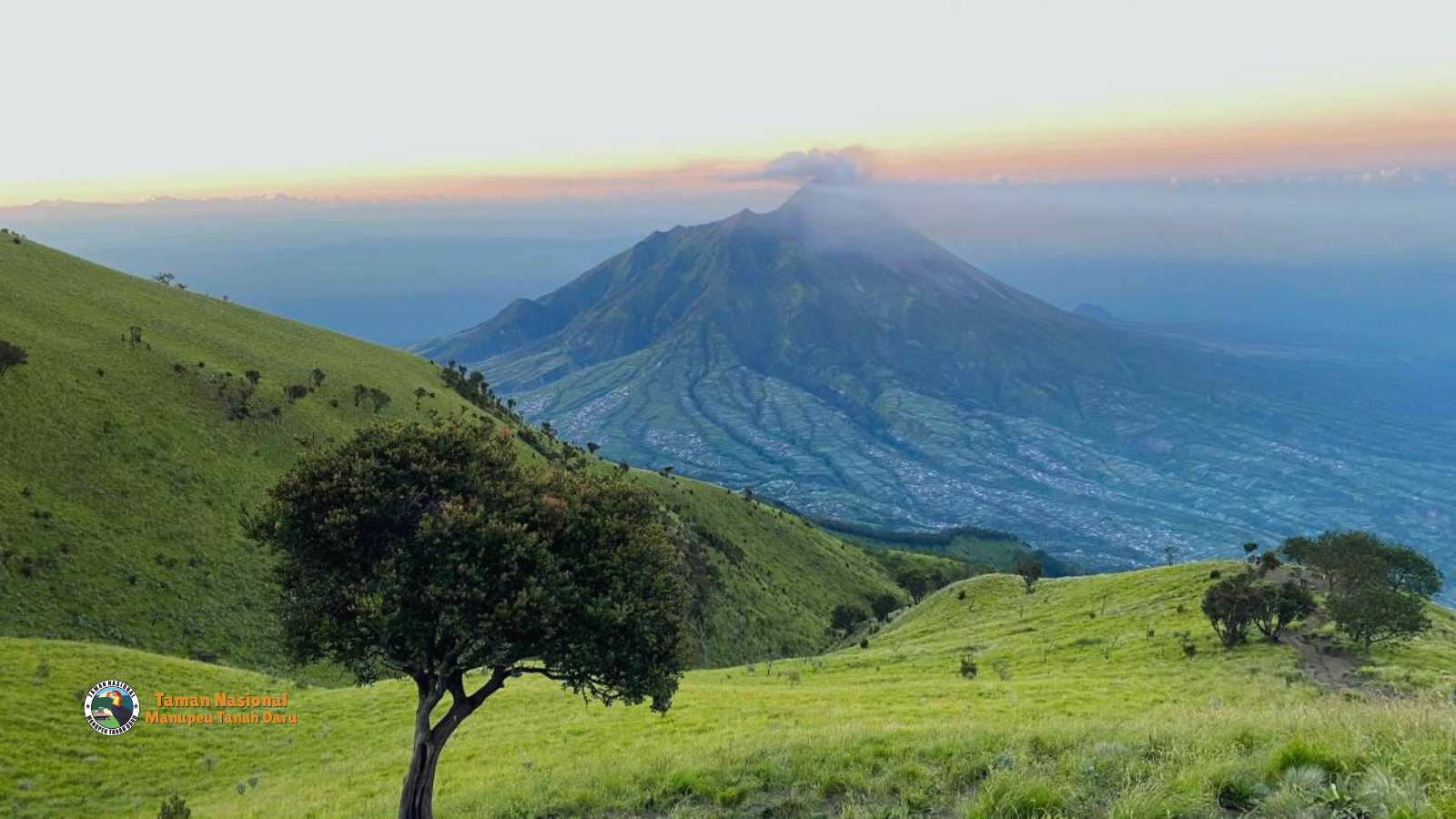 tnmanupeutanahdaru.org