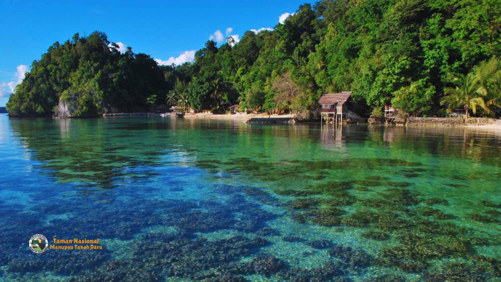 tnmanupeutanahdaru.org