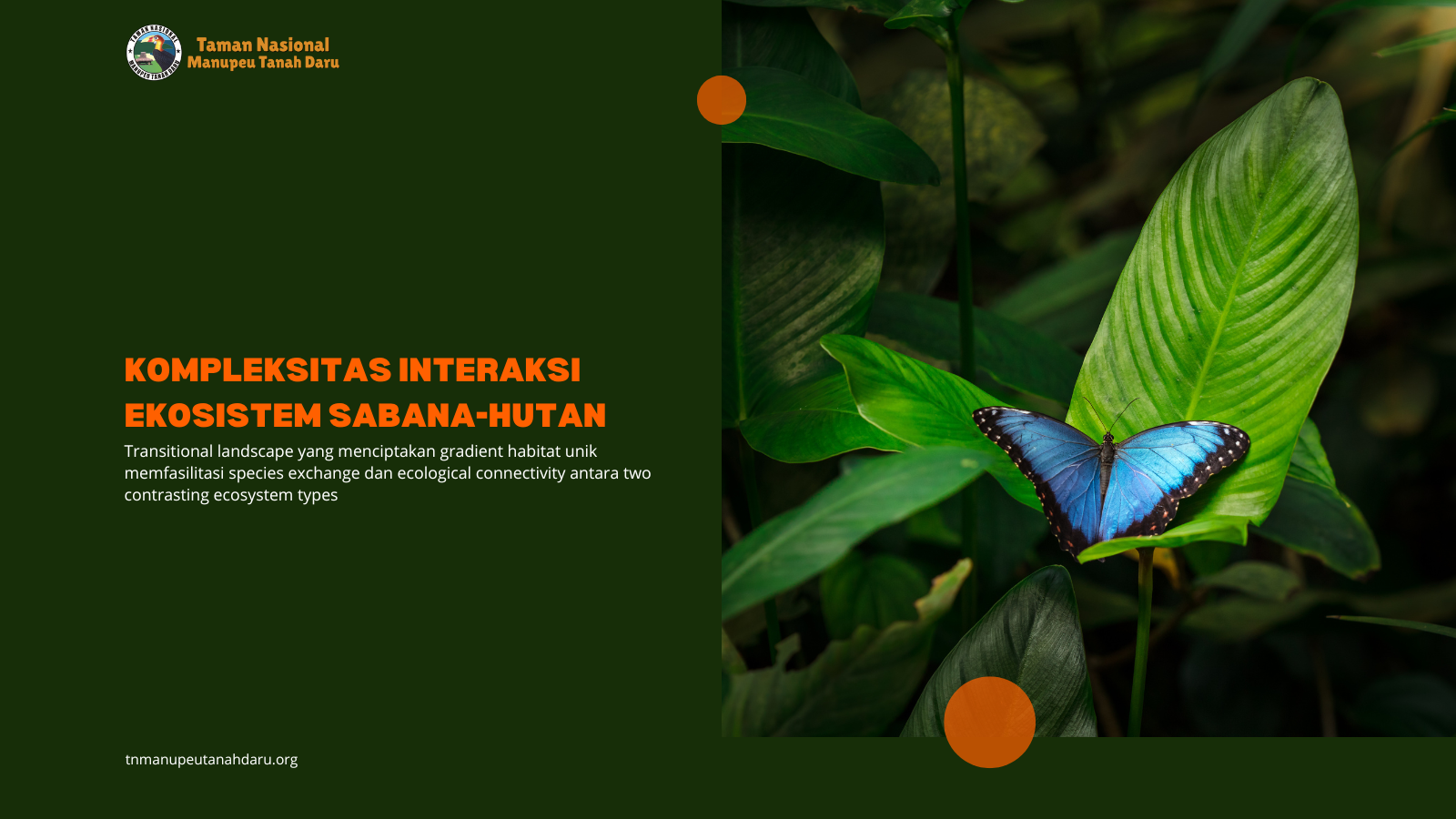 tnmanupeutanahdaru.org