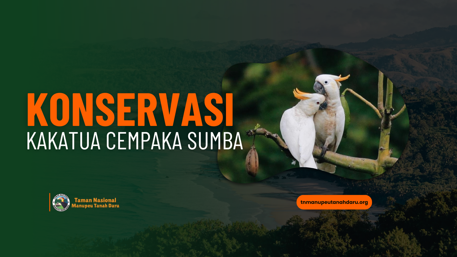 tnmanupeutanahdaru.org