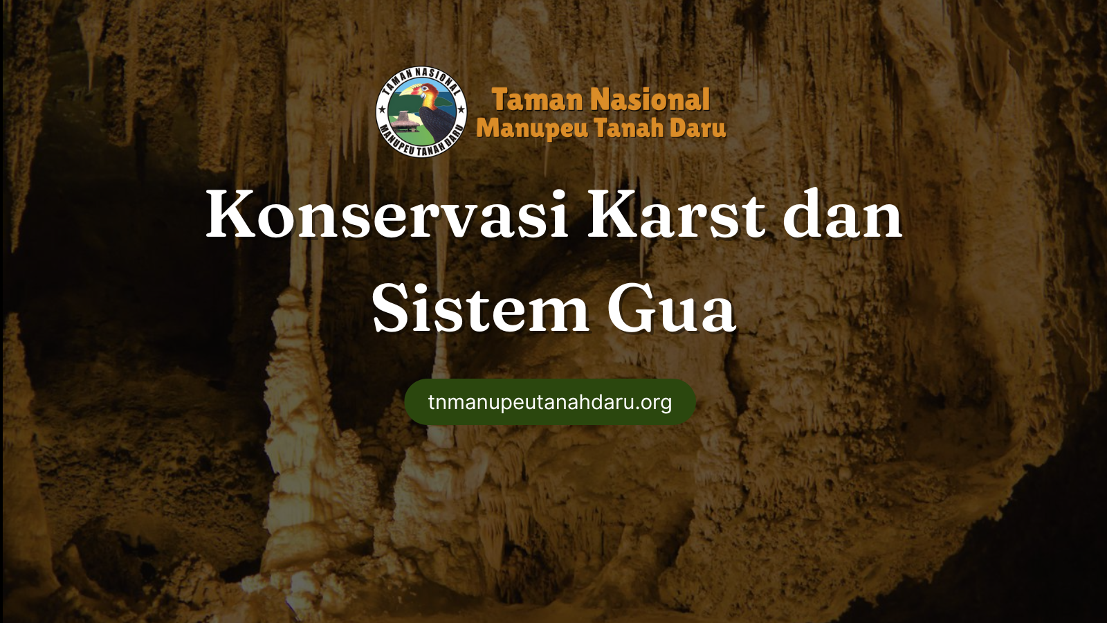 tnmanupeutanahdaru.org