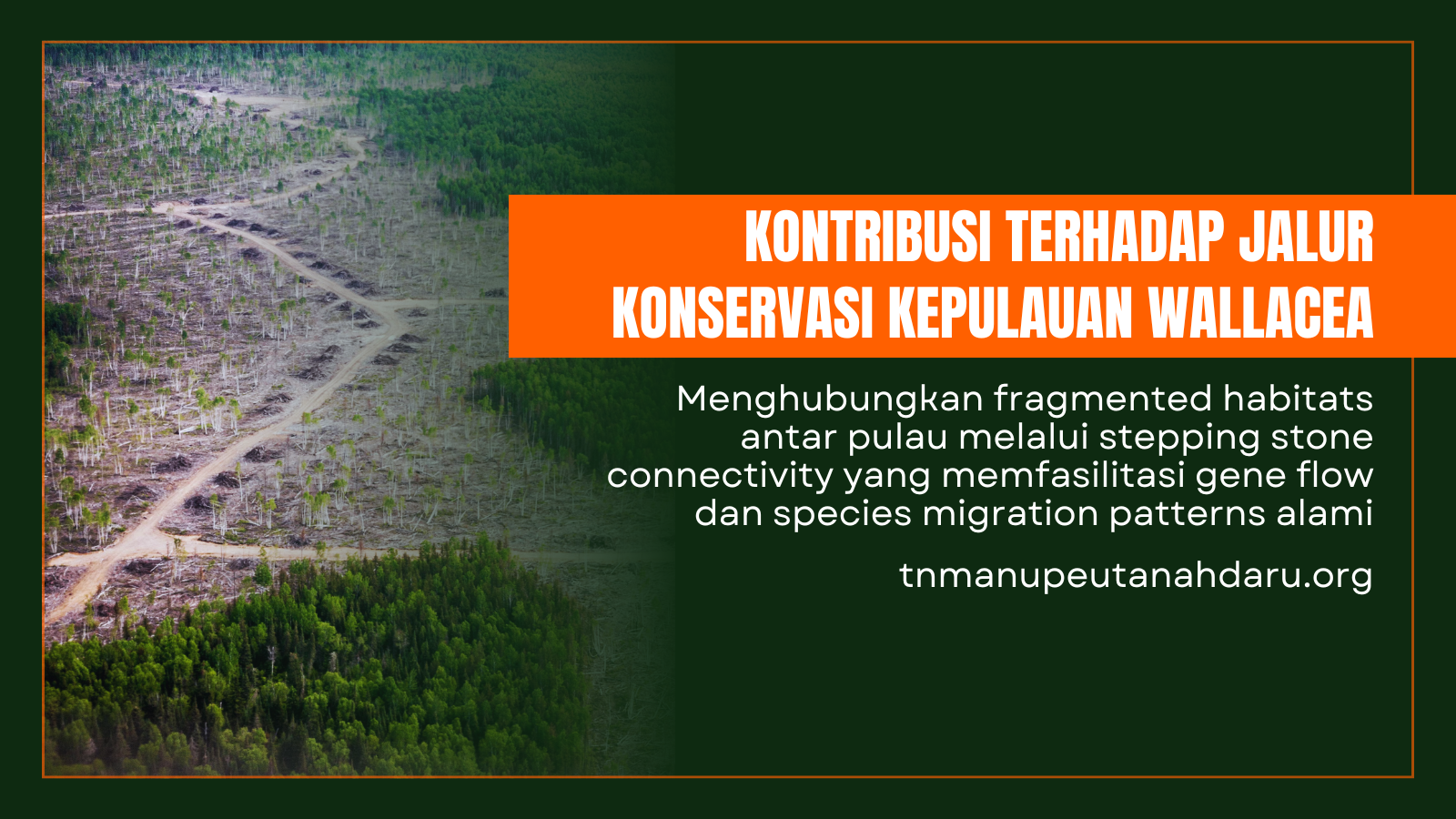 tnmanupeutanahdaru.org