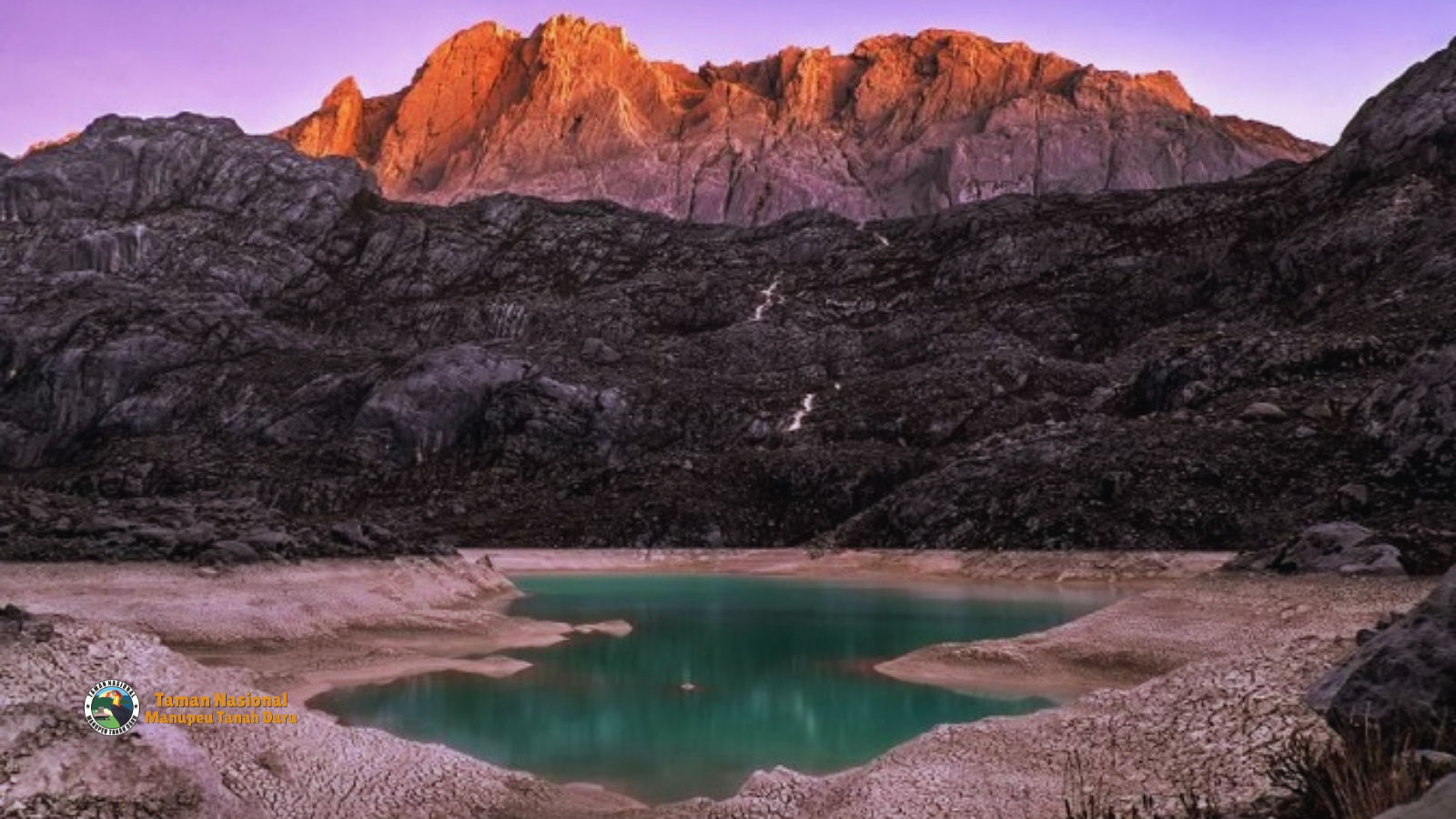 tnmanupeutanahdaru.org