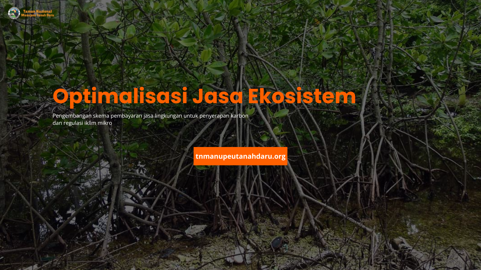 tnmanupeutanahdaru.org