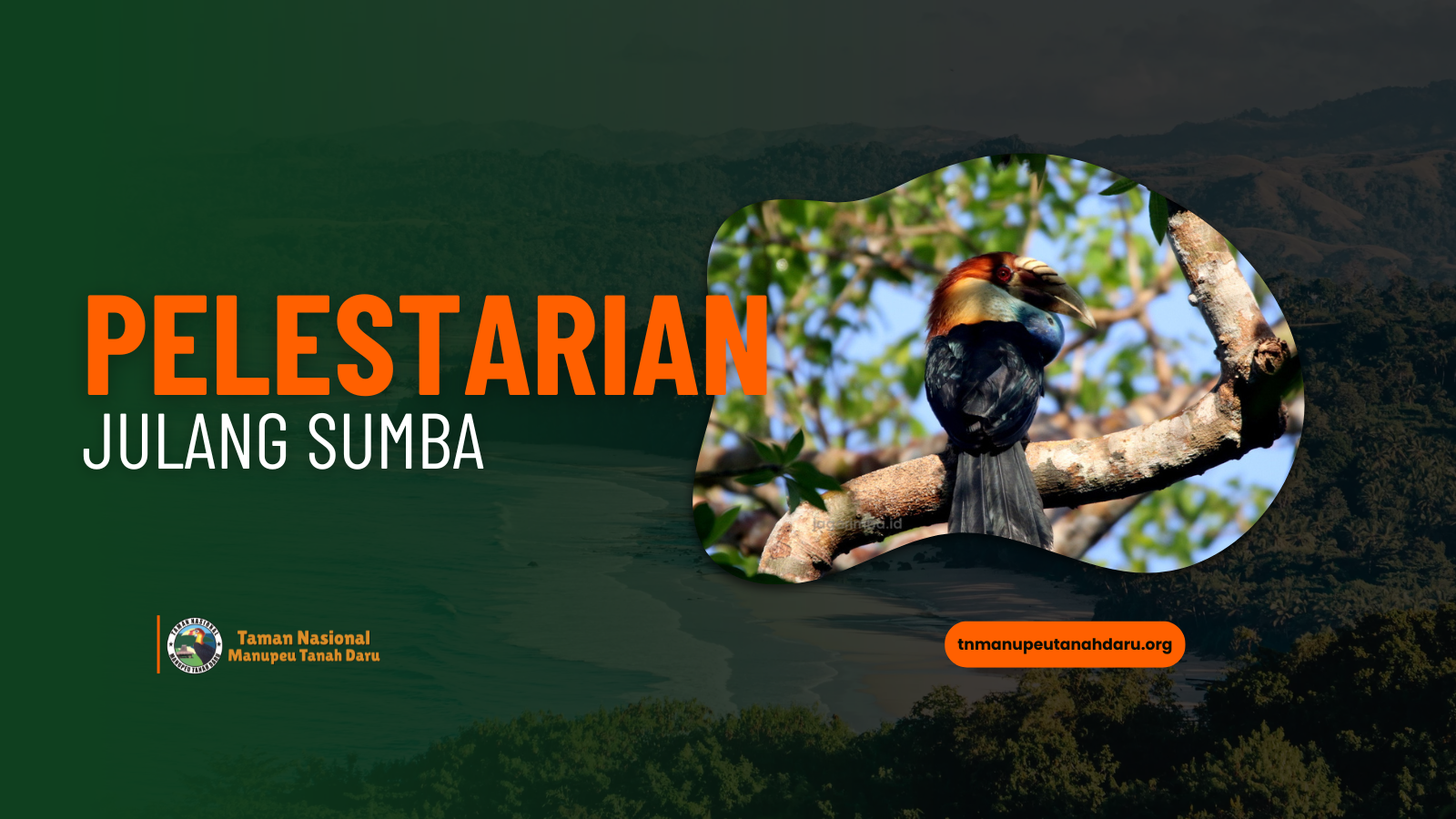 tnmanupeutanahdaru.org