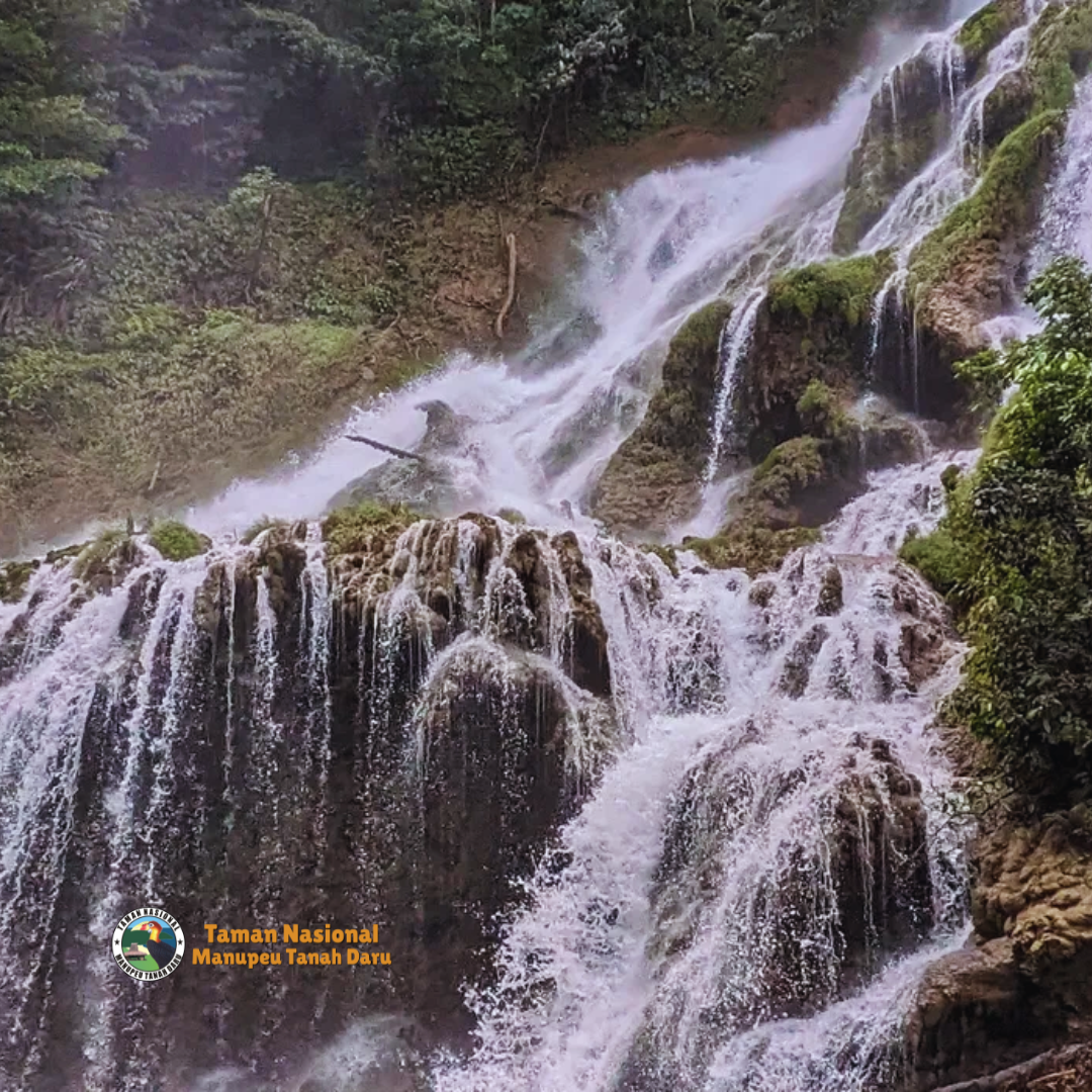 tnmanupeutanahdaru.org