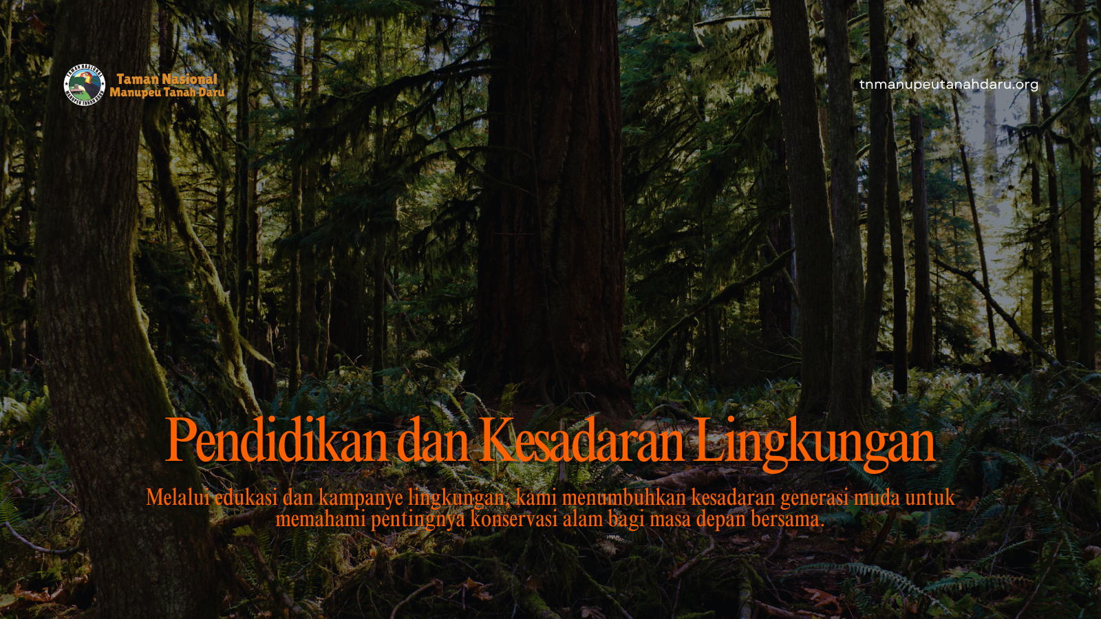 tnmanupeutanahdaru.org