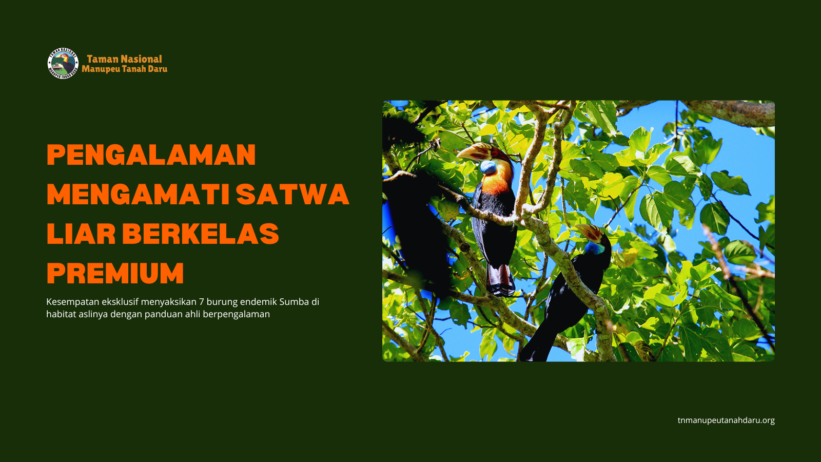 tnmanupeutanahdaru.org