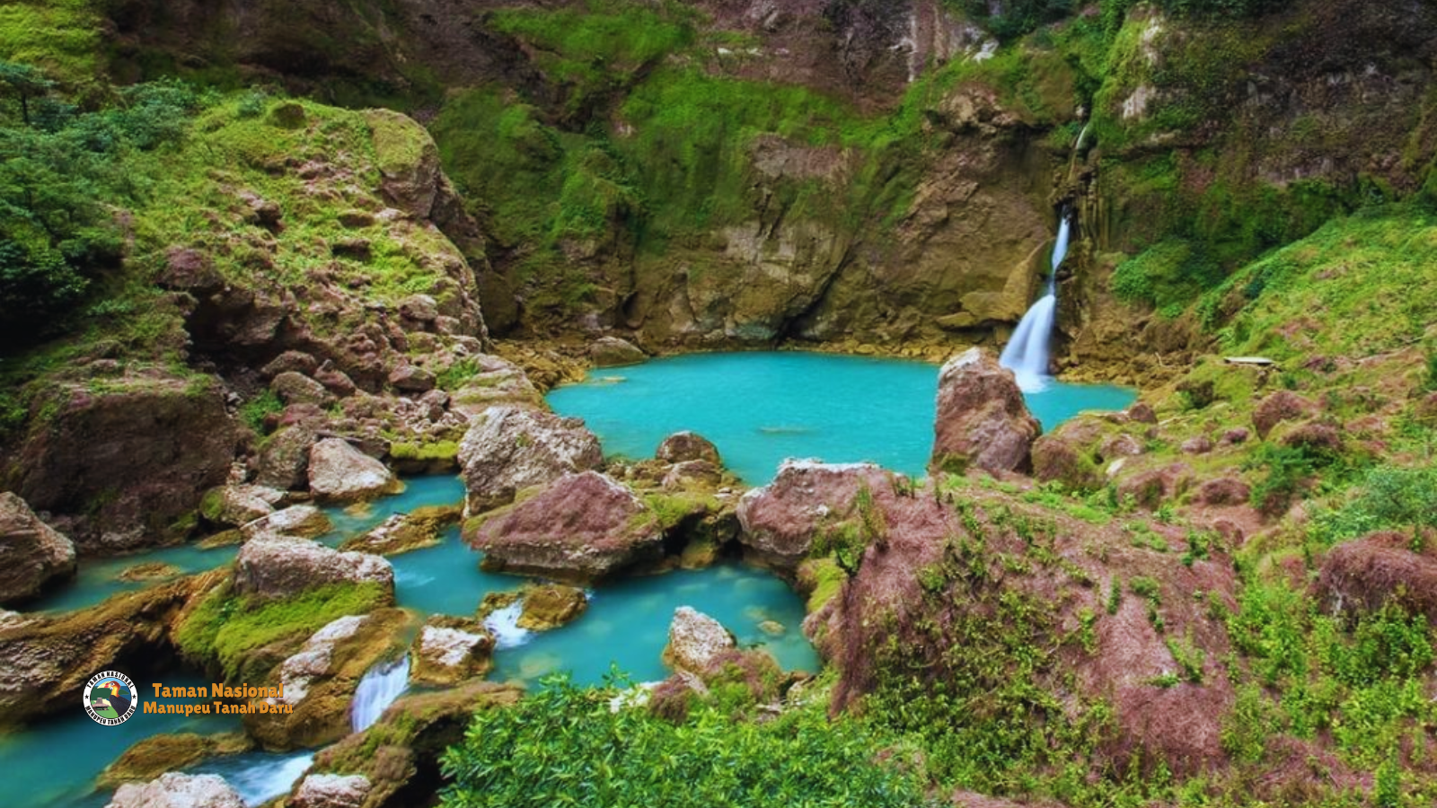 tnmanupeutanahdaru.org