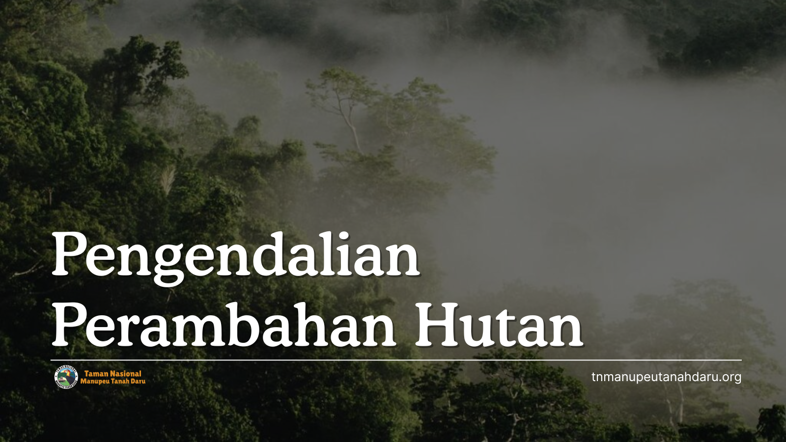 tnmanupeutanahdaru.org