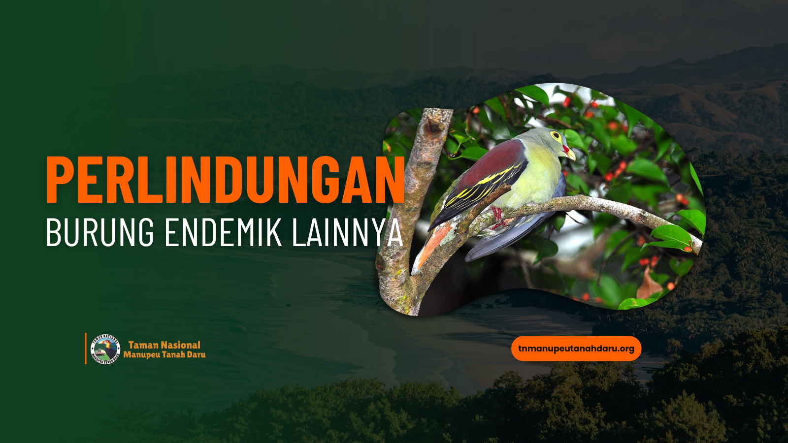 tnmanupeutanahdaru.org