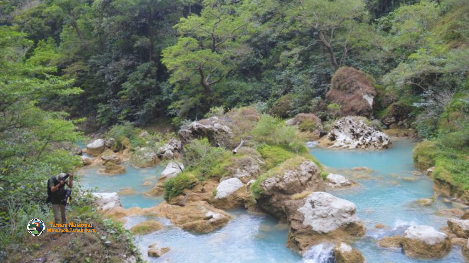 tnmanupeutanahdaru.org