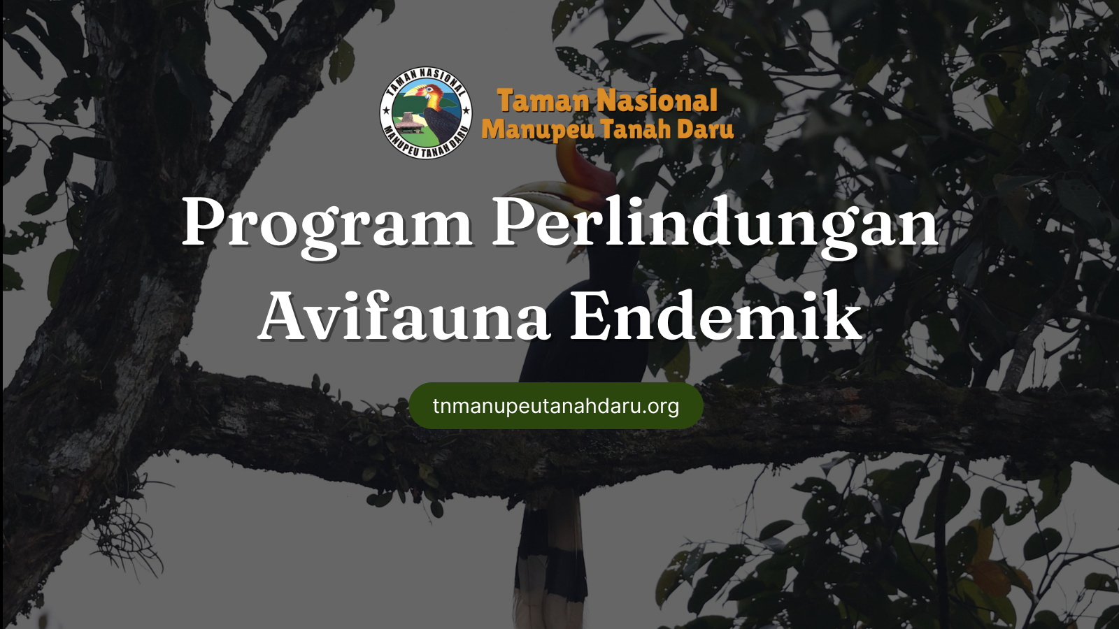 tnmanupeutanahdaru.org