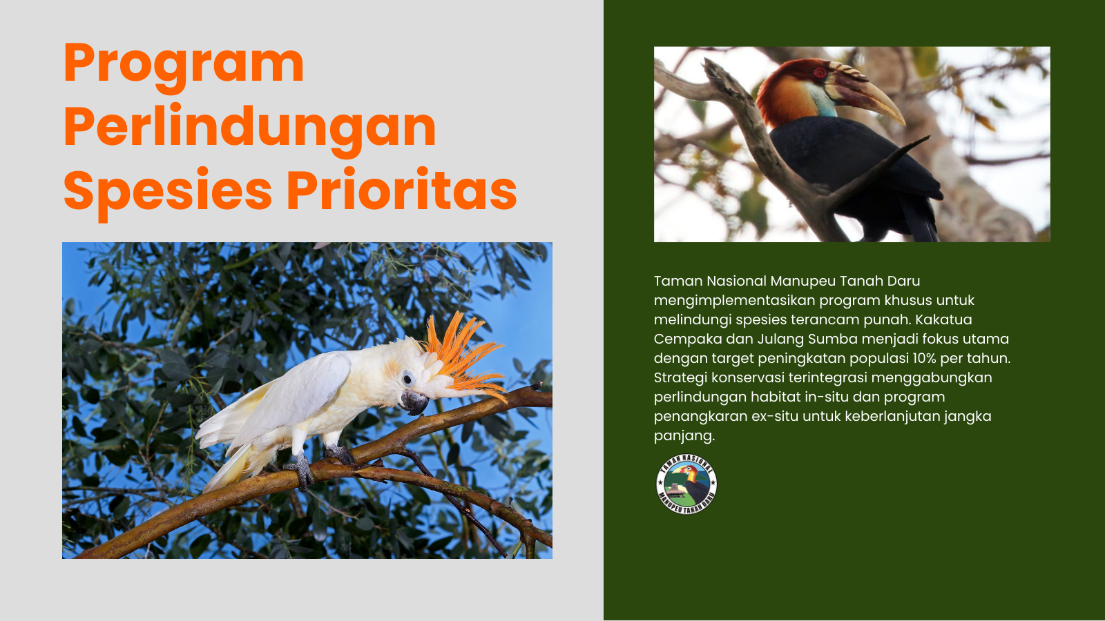 tnmanupeutanahdaru.org