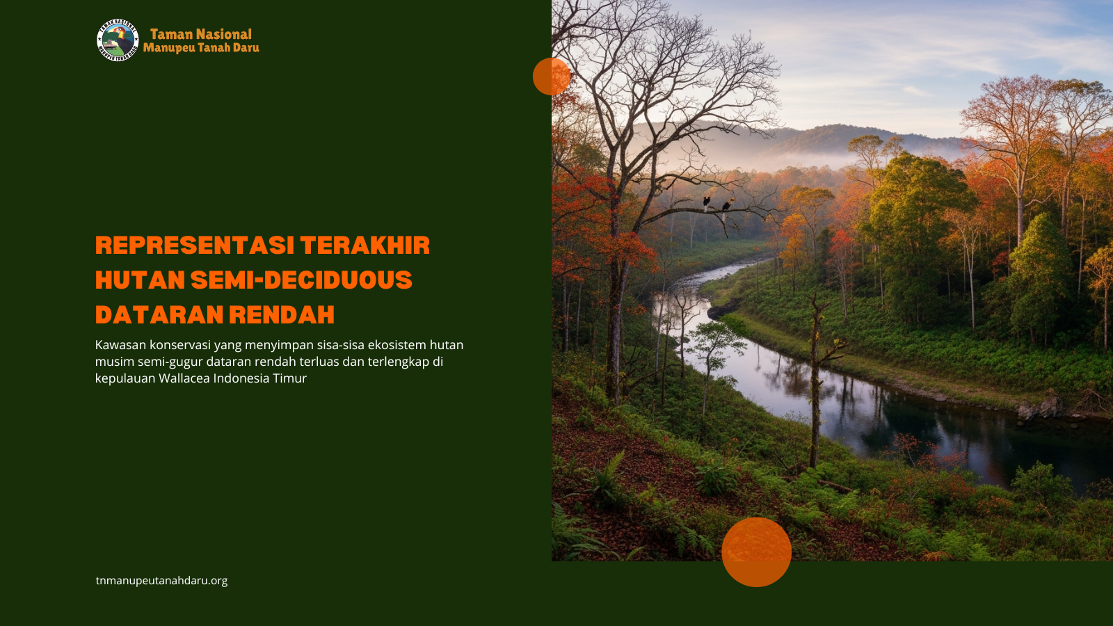 tnmanupeutanahdaru.org