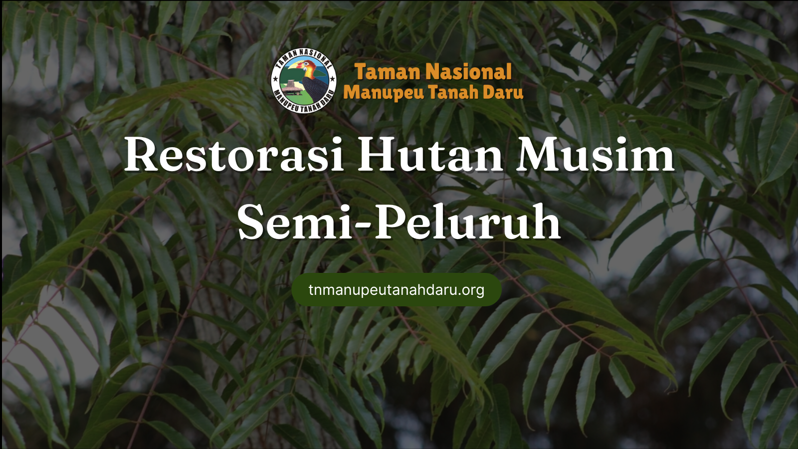 tnmanupeutanahdaru.org