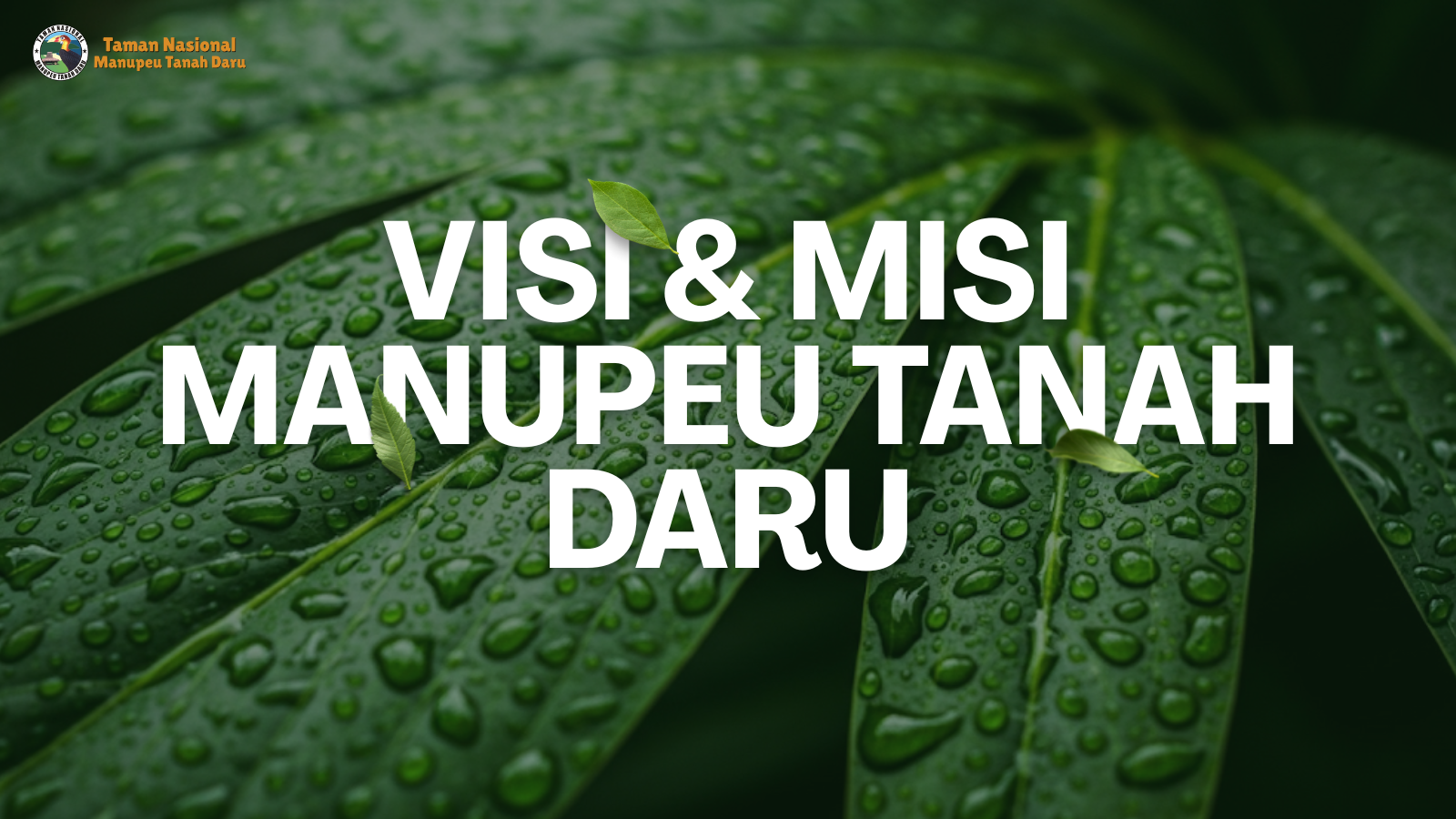 tnmanupeutanahdaru.org