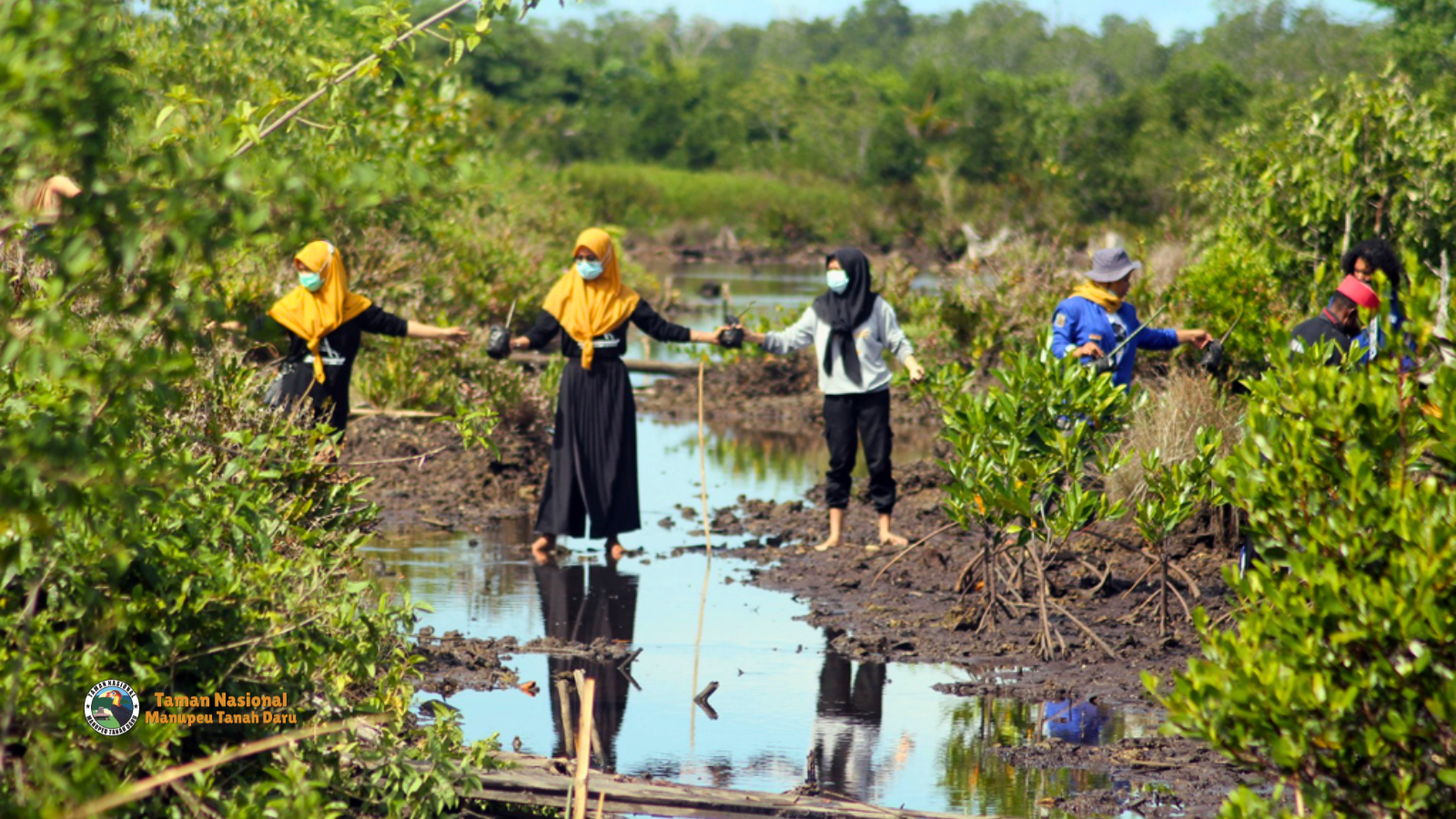 Gerakan Reforestasi Sumba Menghidupkan Kembali Hutan Manupeu Tanah Daru